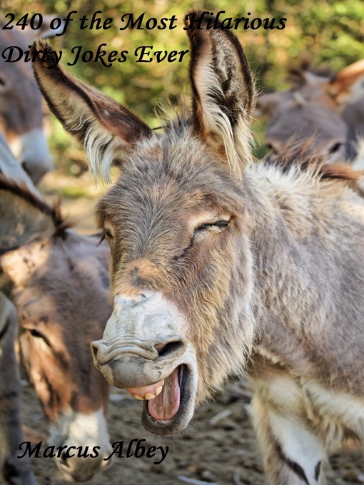 Title details for 240 of the Most Hilarious Dirty Jokes Ever by Marcus Albey - Wait list